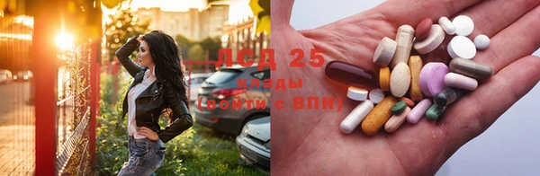 стаф Белоозёрский