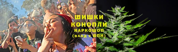 стаф Белоозёрский