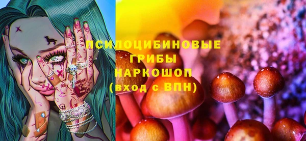 стаф Белоозёрский