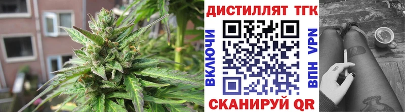 что такое   Курильск  ТГК концентрат 